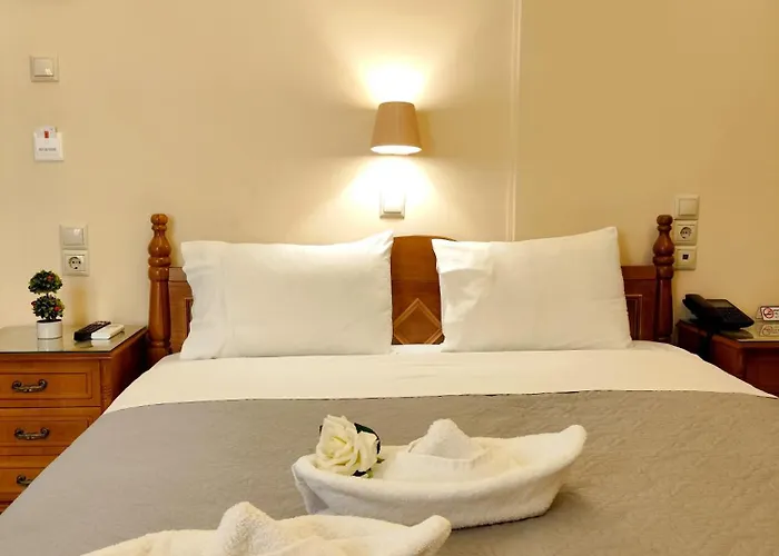 Anagennisis Otel Frý